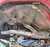 Toyota IFS SAS Frame Reinforcement Kit